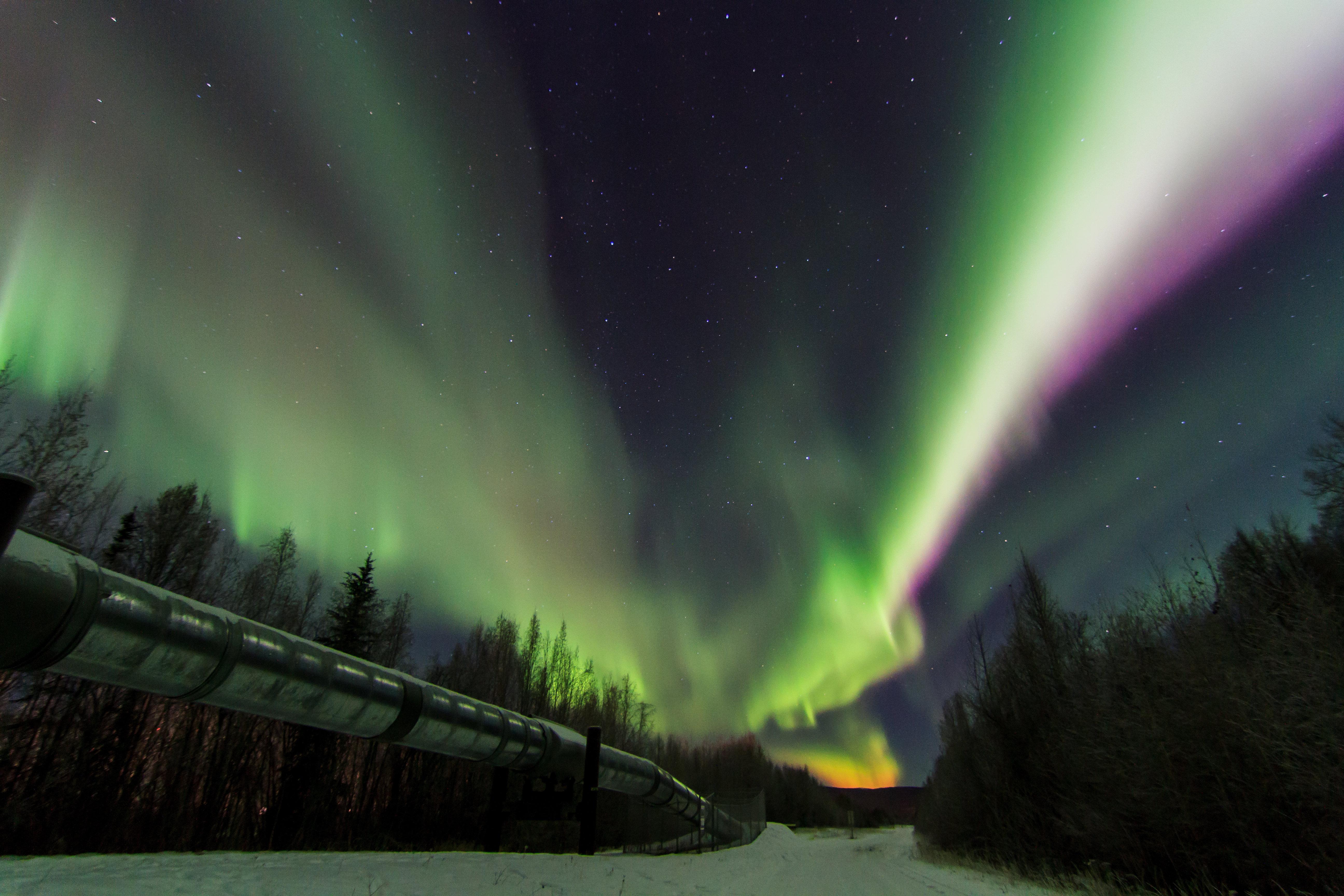 Staybridge Suites Anchorage By Ihg Exteriör bild